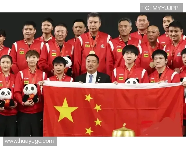 乒乓球个人能力排行榜揭晓北京乒乓球队荣登第五名位置